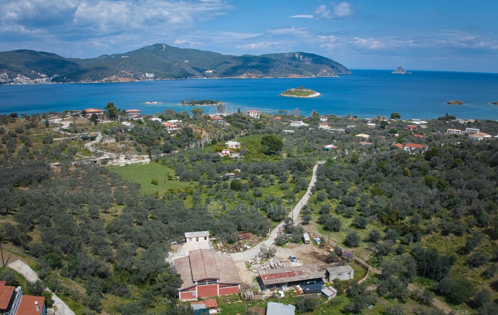 Αγροτεμάχια 3.378 τ.μ. προς πώληση, Λεμονοδάσος