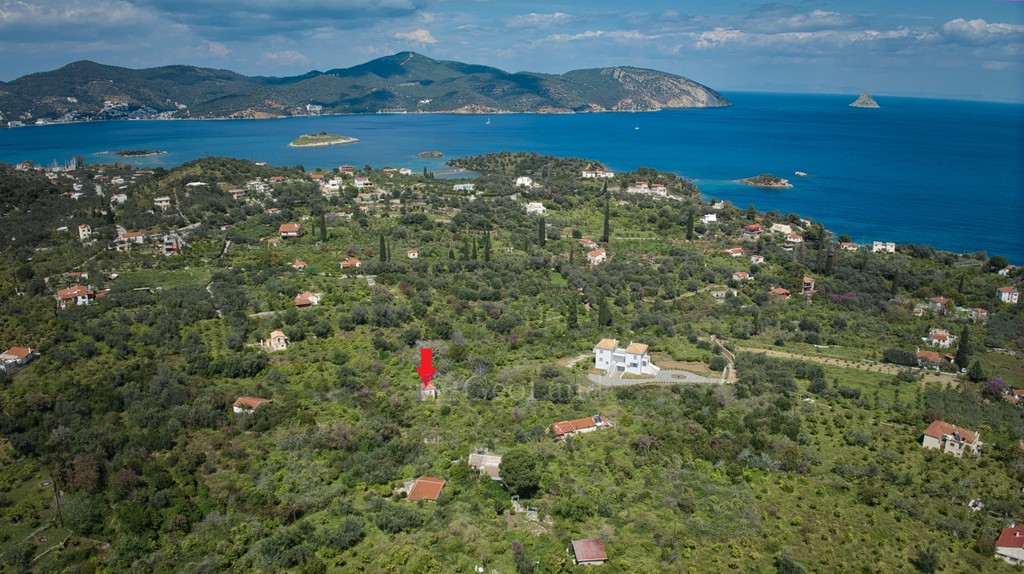 Αγροτεμάχια 5.065 τ.μ. προς πώληση, Λεμονοδάσος