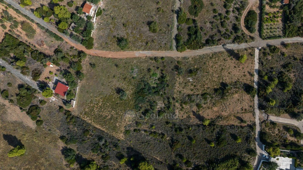 Αγροτεμάχια 4.035 τ.μ. προς πώληση, Άγιοι Ανάργυροι Ερμιόνης