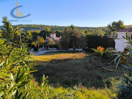 Land plot 1.000sqm for sale-Agios Stefanos » Kapitenia