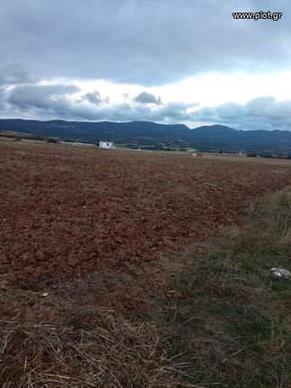 Αγροτεμάχια 8.727 τ.μ. για πώληση, Θεσσαλονίκη - Περιφ/Κοί Δήμοι, Θέρμη