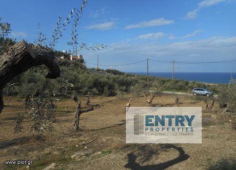 Οικόπεδο 2.300 τ.μ. για πώληση