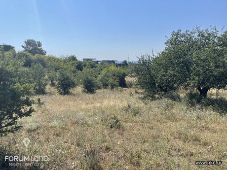 Αγροτεμάχια 16.500τ.μ. για πώληση-Θέρμη » Καρδιά