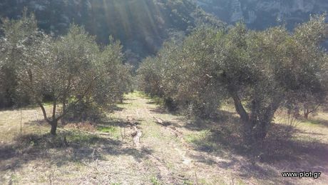 Parcel 8.500sqm for sale-Gorgopotamos » Ano Vardates