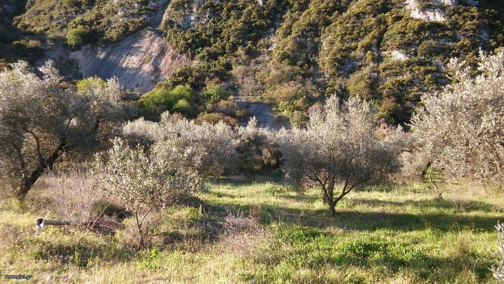 Αγροτεμάχια 8.500 τ.μ. προς πώληση, Άνω Βαρδάτες