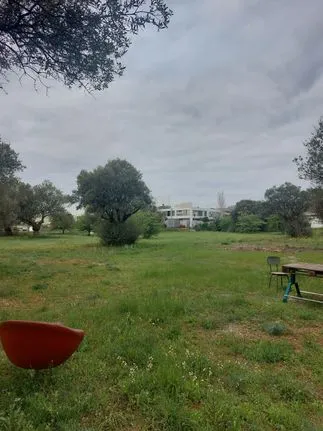 Land plot 10.000 sqm for sale, Athens - East, Koropi