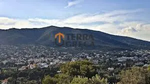 Land plot 210 sqm for sale, Athens - East, Glika Nera