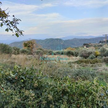 Οικόπεδο 3.500 τ.μ. για πώληση