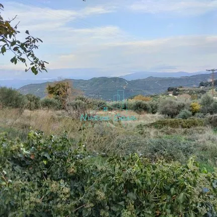 Land plot 3.500 sqm for sale, Achaia, Rio