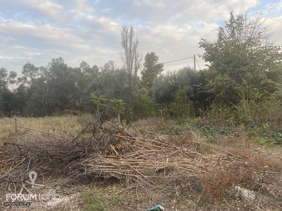 Οικόπεδο 7.058 τ.μ. για πώληση, Θεσσαλονίκη - Περιφ/Κοί Δήμοι, Θέρμη