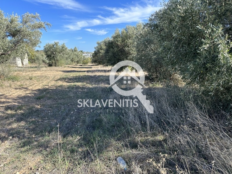 Αγροτεμάχια 14.838 τ.μ. πρός πώληση, Βοιωτία, Σχηματάρι