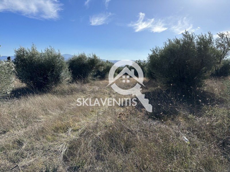 Αγροτεμάχια 14.838 τ.μ. πρός πώληση, Βοιωτία, Σχηματάρι