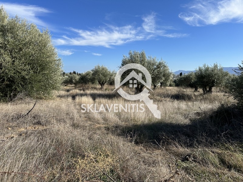 Αγροτεμάχια 14.838 τ.μ. πρός πώληση, Βοιωτία, Σχηματάρι