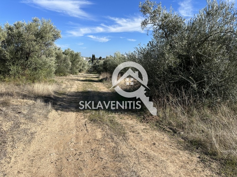 Αγροτεμάχια 14.838 τ.μ. πρός πώληση, Βοιωτία, Σχηματάρι