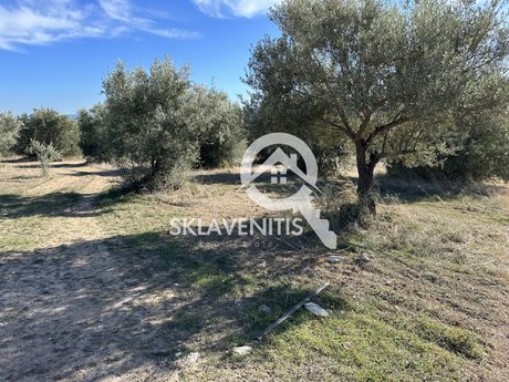 Αγροτεμάχια 14.838τ.μ. για πώληση-Σχηματάρι » Κέντρο