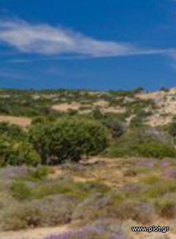 Land plot 6.200sqm for sale-Sifnos » Platis Gialos