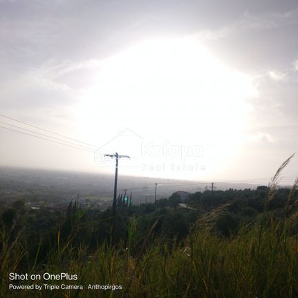 Land plot 4.310 sqm for sale, Ilia, Pirgos