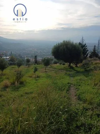 Land plot 680 sqm for sale, Achaia, Patra