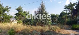Οικόπεδο 2.700 τ.μ. για ενοικίαση, Θεσσαλονίκη - Περιφ/Κοί Δήμοι, Πυλαία-thumb-10