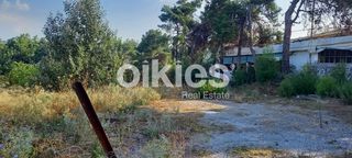 Οικόπεδο 2.700 τ.μ. για ενοικίαση, Θεσσαλονίκη - Περιφ/Κοί Δήμοι, Πυλαία-thumb-9