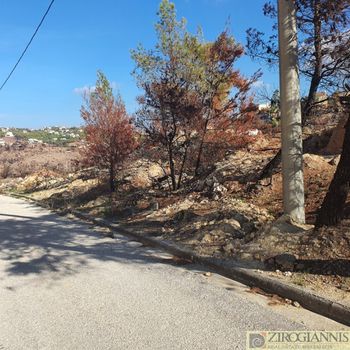 Οικόπεδο 1.447τ.μ. για πώληση-Πικέρμι
