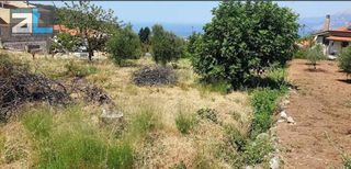 Οικόπεδο 524 τ.μ. για πώληση, Αχαΐα, Ρίο-thumb-1