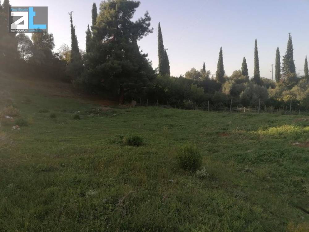 Land plot 1.002 sqm for sale, Achaia, Messatida