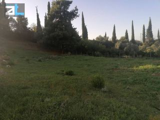 Οικόπεδο 1.002 τ.μ. για πώληση, Αχαΐα, Μεσσατίδα-thumb-1