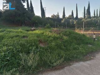 Οικόπεδο 1.002 τ.μ. για πώληση, Αχαΐα, Μεσσατίδα-thumb-2