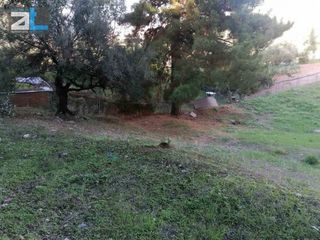 Οικόπεδο 1.002 τ.μ. για πώληση, Αχαΐα, Μεσσατίδα-thumb-5