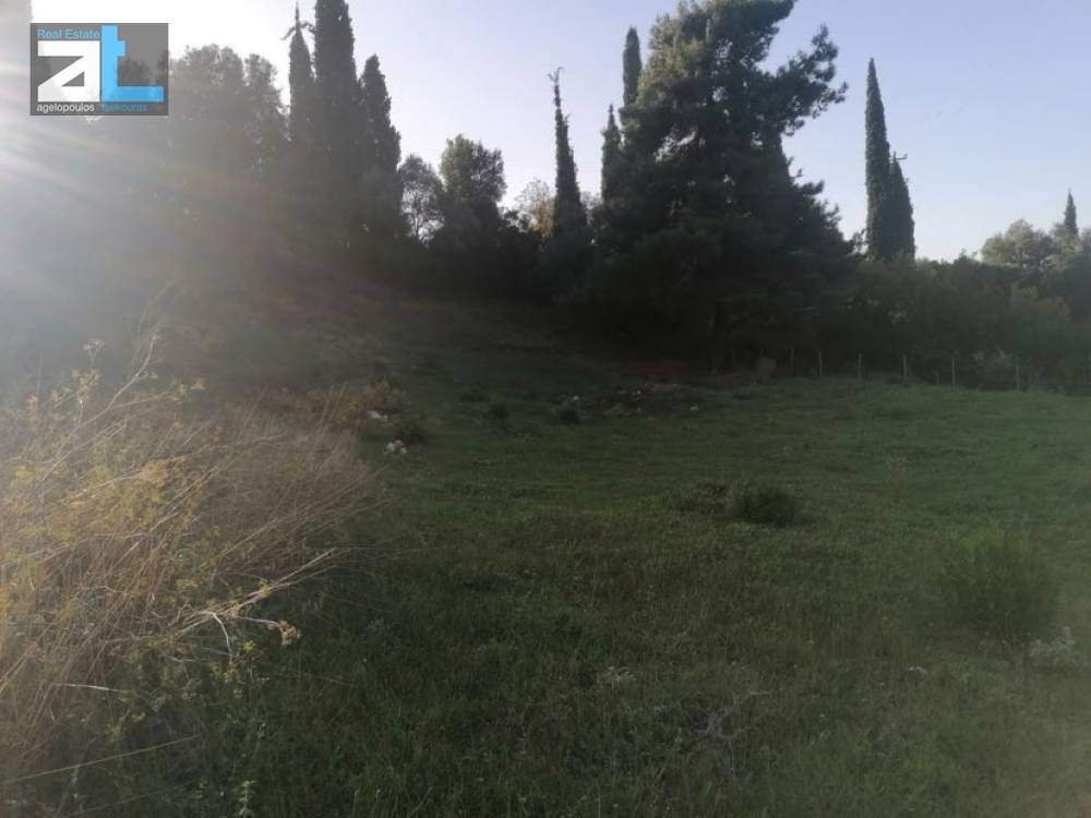 Land plot 1.002 sqm for sale, Achaia, Messatida
