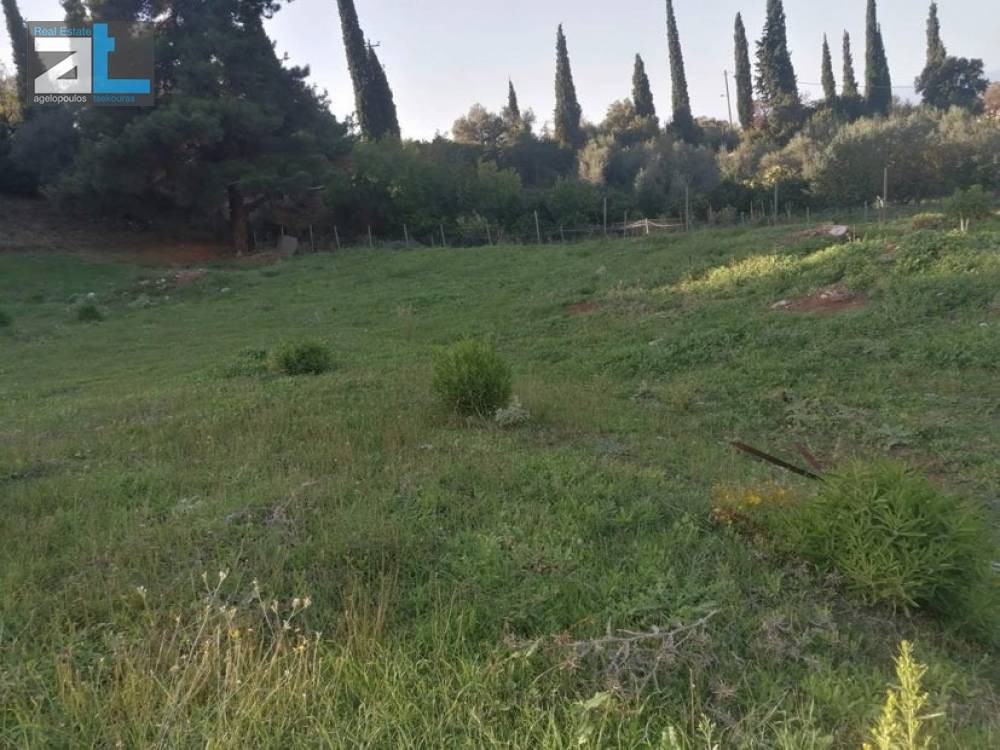 Land plot 1.002 sqm for sale, Achaia, Messatida