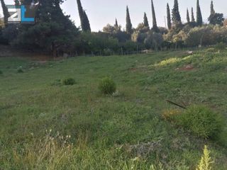 Οικόπεδο 1.002 τ.μ. για πώληση, Αχαΐα, Μεσσατίδα-thumb-3