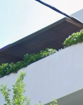 Μονοκατοικία 270τ.μ. για πώληση-Βάρη- βάρκιζα » Ασύρματος αλίανθου
