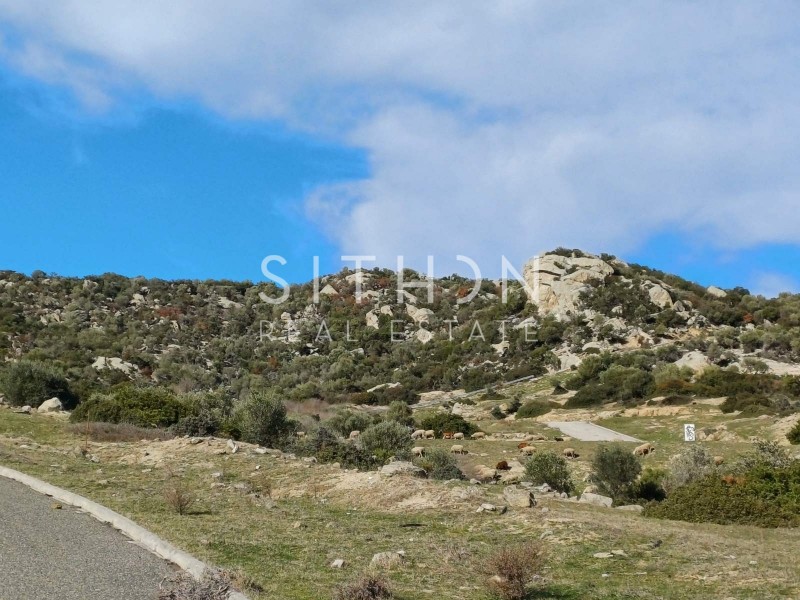 Οικόπεδο 500 τ.μ. προς πώληση, Σκάλα Συκέας