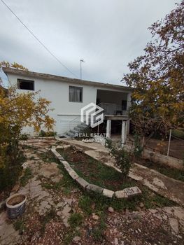 Διαμέρισμα 70τ.μ. για πώληση-Νεμέα » Λεόντιο