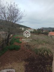 Διαμέρισμα 70 τ.μ. για πώληση, Κορινθία, Νεμέα-thumb-15