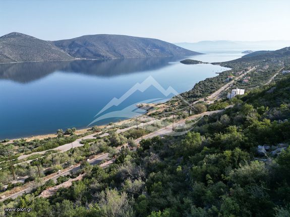 Land plot 3.214 sqm for sale, Evia, Anthidonos
