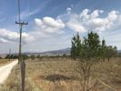 Αγροτεμάχια 4.800τ.μ. για πώληση-Θέρμη » Αγία παρασκευή