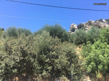 Land plot 1.200sqm for sale-Ierapetra » Anatoli