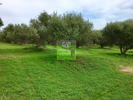 Land plot 7.067sqm for sale-Chania » Palia Poli