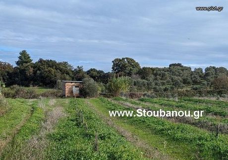 Parcel 36.863sqm for sale-Amaliada » Tsichleika