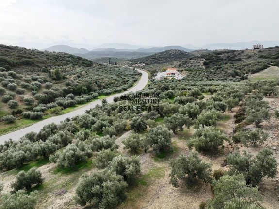 Αγροτεμάχια 10.000 τ.μ. για πώληση, Αργολίδα, Ναύπλιο