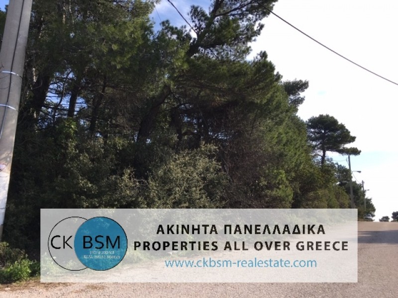 Οικόπεδο 1.049 τ.μ. πρός πώληση, Αττική - Υπόλοιπο, Αφίδνες