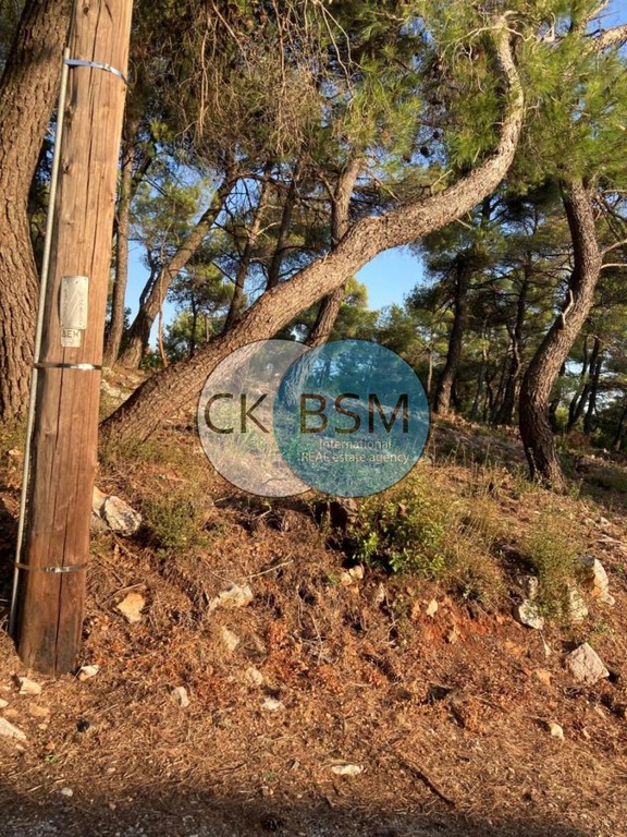 Οικόπεδο 1.049 τ.μ. πρός πώληση, Αττική - Υπόλοιπο, Αφίδνες