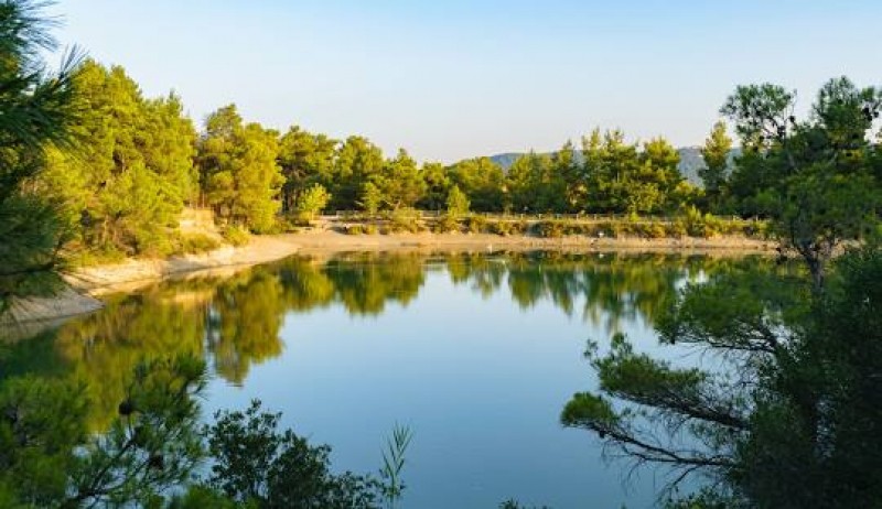 Οικόπεδο 1.049 τ.μ. πρός πώληση, Αττική - Υπόλοιπο, Αφίδνες