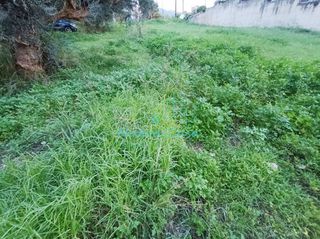 Οικόπεδο 310 τ.μ. για πώληση, Αχαΐα, Μεσσατίδα-thumb-3