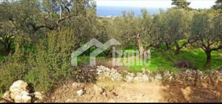 Land plot 1.870 sqm for sale, Zante, Arkadi