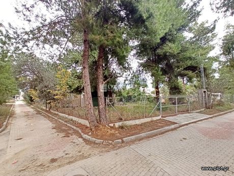 Οικόπεδο 471τ.μ. για πώληση-Κηφισιά » Αδάμες (οικισμός γράμμος - φοίνικας)