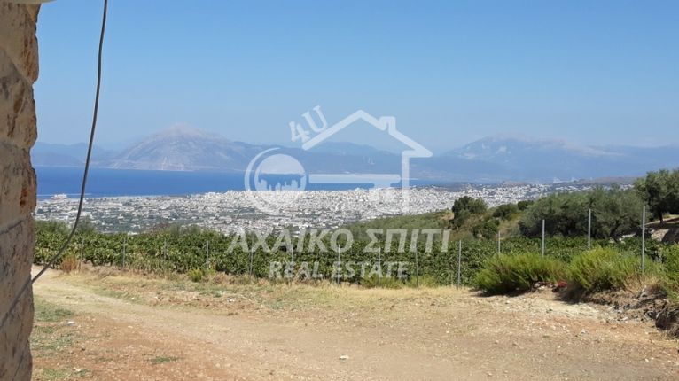 Land plot 4.600 sqm for sale, Achaia, Messatida